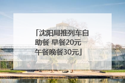 沈阳局推列车自助餐 早餐20元午餐晚餐30元