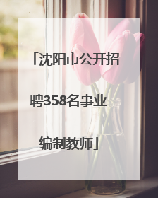 沈阳市公开招聘358名事业编制教师