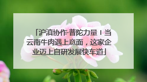 沪滇协作·普陀力量〡当云南牛肉遇上意面，这家企业迈上自研发展快车道
