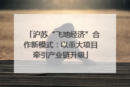 沪苏“飞地经济”合作新模式：以重大项目牵引产业链升级