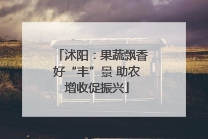 沭阳：果蔬飘香好“丰”景 助农增收促振兴