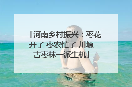 河南乡村振兴：枣花开了 枣农忙了 川塬古枣林一派生机