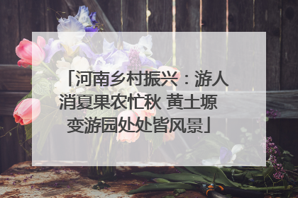 河南乡村振兴：游人消夏果农忙秋 黄土塬变游园处处皆风景