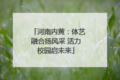 河南内黄：体艺融合扬风采 活力校园启未来