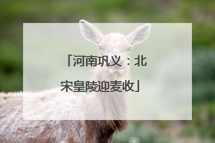 河南巩义：北宋皇陵迎麦收