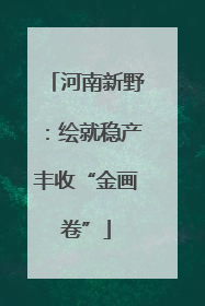 河南新野：绘就稳产丰收“金画卷”