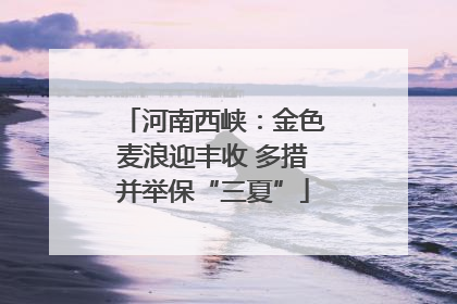 河南西峡：金色麦浪迎丰收 多措并举保“三夏”