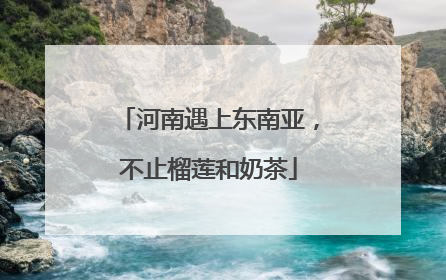 河南遇上东南亚，不止榴莲和奶茶