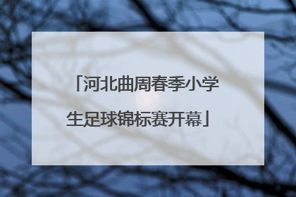 河北曲周春季小学生足球锦标赛开幕