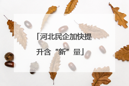 河北民企加快提升含“新”量