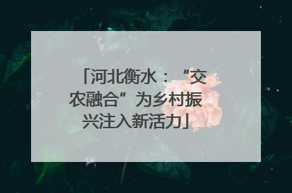 河北衡水：“交农融合”为乡村振兴注入新活力