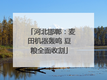 河北邯郸：麦田机器轰鸣 夏粮全面收割