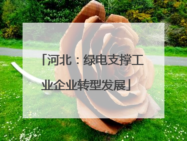河北：绿电支撑工业企业转型发展