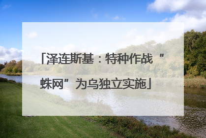 泽连斯基：特种作战“蛛网”为乌独立实施