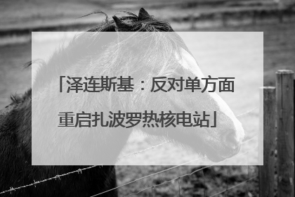 泽连斯基：反对单方面重启扎波罗热核电站