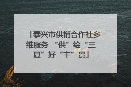 泰兴市供销合作社多维服务 “供”绘“三夏”好“丰”景