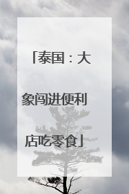 泰国：大象闯进便利店吃零食