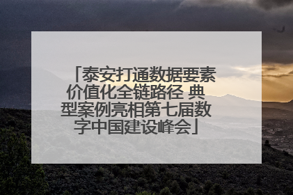 泰安打通数据要素价值化全链路径 典型案例亮相第七届数字中国建设峰会