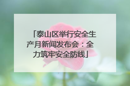 泰山区举行安全生产月新闻发布会：全力筑牢安全防线