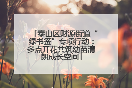 泰山区财源街道“绿书签”专项行动：多点开花共筑幼苗清朗成长空间