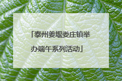 泰州姜堰娄庄镇举办端午系列活动