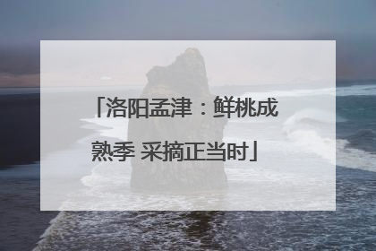 洛阳孟津：鲜桃成熟季 采摘正当时