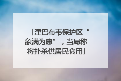 津巴布韦保护区“象满为患”，当局称将扑杀供居民食用