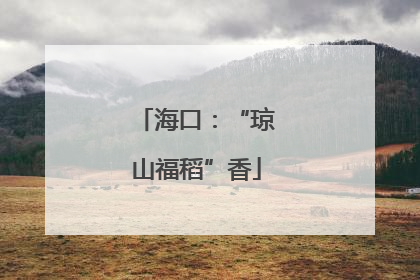 海口：“琼山福稻”香