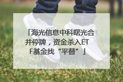 海光信息中科曙光合并停牌，资金杀入ETF基金找“平替”