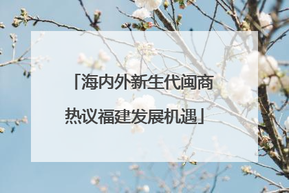 海内外新生代闽商热议福建发展机遇