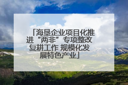 海垦企业项目化推进“两非”专项整改复耕工作 规模化发展特色产业
