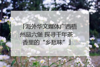 海外华文媒体广西梧州品六堡 探寻千年茶香里的“乡愁味”