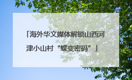 海外华文媒体解锁山西河津小山村“蝶变密码”