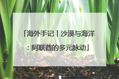 海外手记丨沙漠与海洋：阿联酋的多元脉动