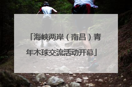 海峡两岸（南昌）青年木球交流活动开幕