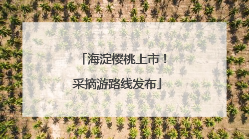 海淀樱桃上市！采摘游路线发布