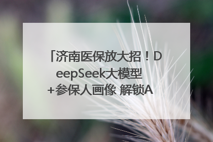 济南医保放大招！DeepSeek大模型+参保人画像 解锁AI医保管家新体验