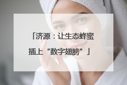 济源：让生态蜂蜜插上“数字翅膀”