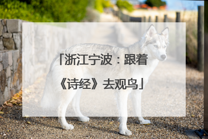 浙江宁波：跟着《诗经》去观鸟