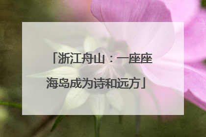 浙江舟山：一座座海岛成为诗和远方
