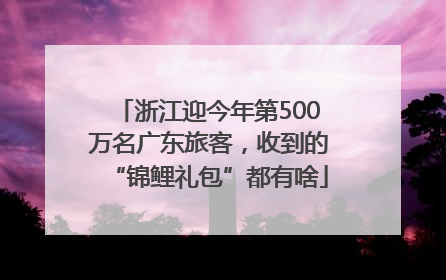 浙江迎今年第500万名广东旅客，收到的“锦鲤礼包”都有啥