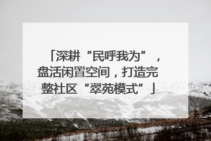 深耕“民呼我为”，盘活闲置空间，打造完整社区“翠苑模式”