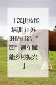 深耕技能培训 江苏盱眙打造“职”通车赋能乡村振兴