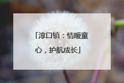 淳口镇：情暖童心，护航成长