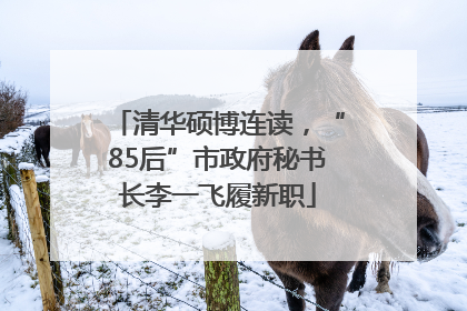 清华硕博连读，“85后”市政府秘书长李一飞履新职
