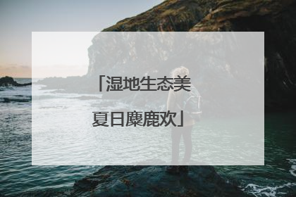 湿地生态美 夏日麋鹿欢
