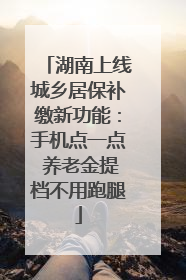 湖南上线城乡居保补缴新功能：手机点一点 养老金提档不用跑腿