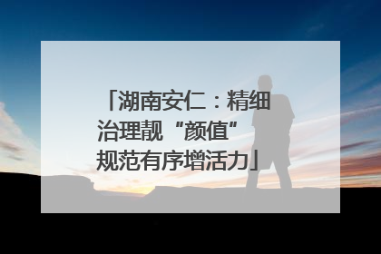 湖南安仁：精细治理靓“颜值” 规范有序增活力