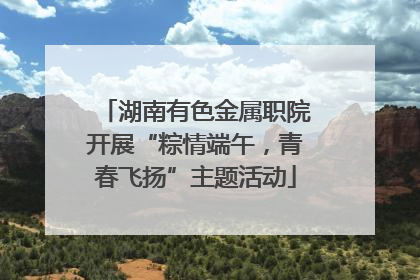 湖南有色金属职院开展“粽情端午，青春飞扬”主题活动