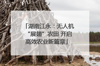 湖南江永：无人机“展翅”农田 开启高效农业新篇章
